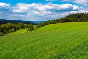 Yoga in der malerischen Eifel Landschaft