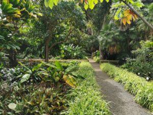 Yoga Retreat Teneriffa - den botanischen Garten nicht verpassen
