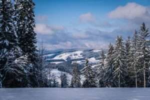 Yoga Retreat Schwarzwald -Im Sommer wie im Winter