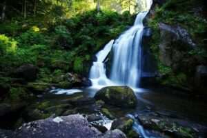 Natur pur: Yoga Retreats im Schwarzwald